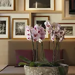 Отель Logis Kur- Und Wellnesshaus Spree Balance Бург