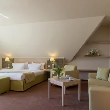 Kur Und Wellnesshaus Spreebalance, The Originals Relais 4*