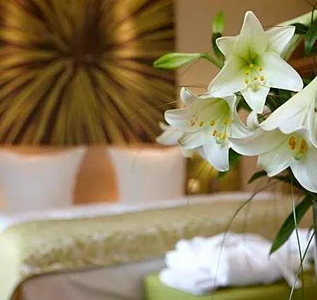 Hotel Logis Kur- Und Wellnesshaus Spree Balance Burg (Spreewald)