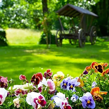 Logis Kur- Und Wellnesshaus Spree Balance 4* Burg (Spreewald)