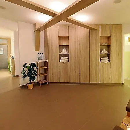 Hotel Logis Kur- Und Wellnesshaus Spree Balance 4*