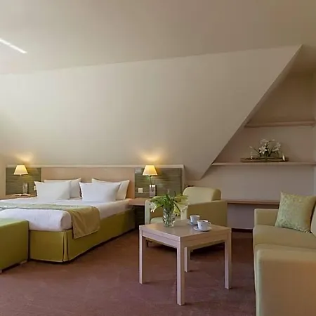 Logis Kur- Und Wellnesshaus Spree Balance Hotel 4*