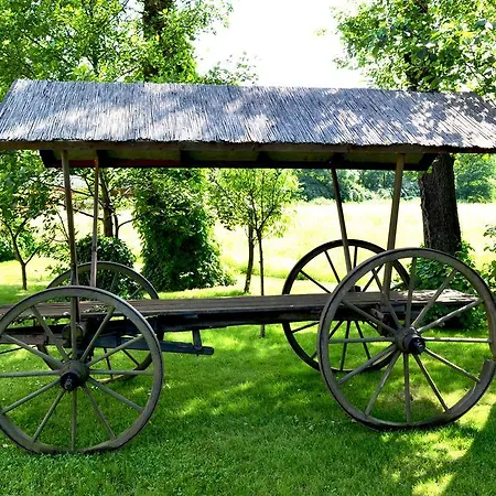 Hotell Logis Kur- Und Wellnesshaus Spree Balance Burg (Spreewald)