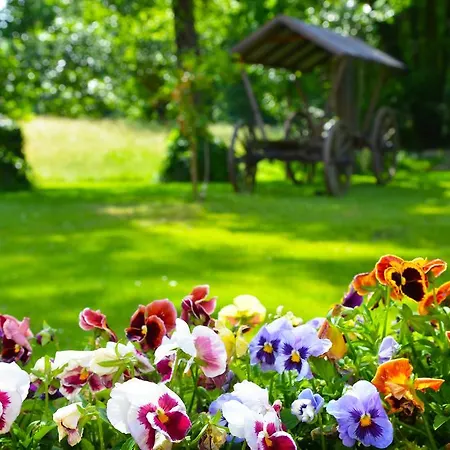 Logis Kur- Und Wellnesshaus Spree Balance Burg (Spreewald)