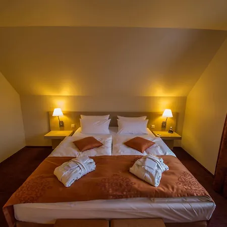 Logis Kur- Und Wellnesshaus Spree Balance Burg (Spreewald)