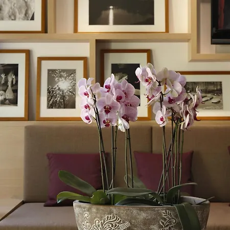 Hotell Logis Kur- Und Wellnesshaus Spree Balance Burg (Spreewald)