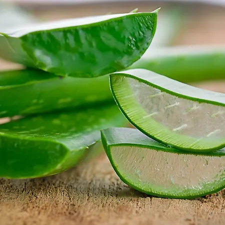 Logis Kur- Und Wellnesshaus Spree Balance