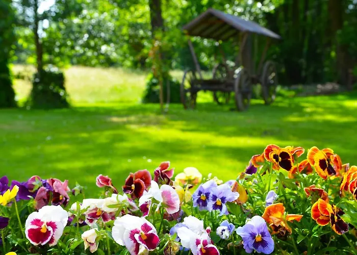 Kur Und Wellnesshaus Spreebalance, The Originals Relais Burg (Spreewald)