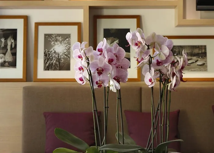 Hotel Kur Und Wellnesshaus Spreebalance, The Originals Relais Burg (Spreewald)