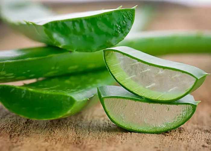 Kur Und Wellnesshaus Spreebalance, The Originals Relais